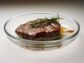 Italia prohíbe la producción y venta de carne cultivada en laboratorio
