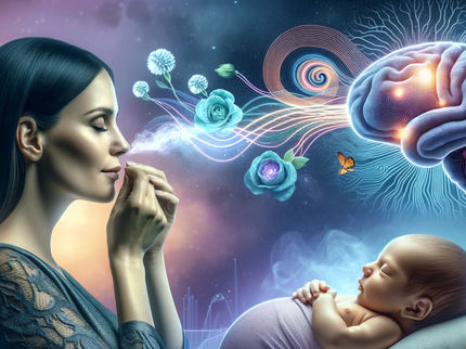 La grossesse remodèle le cerveau
