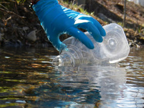 Fishing for DNA to measure biodiversity