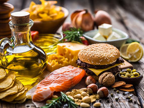 Un estudio revela el papel de las mitocondrias en el procesamiento de las grasas alimentarias