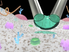 µkiss-and-tell: un nuevo método de administración precisa de nanopartículas y pequeñas moléculas a células individuales
