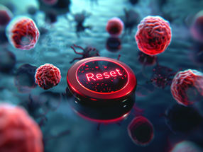 Thérapie cellulaire révolutionnaire : le redémarrage du système immunitaire met fin aux maladies auto-immunes