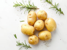Des chercheurs ont découvert un élément qui change la donne pour l'industrie de la pomme de terre
