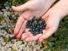 Gesund altern mit Mikronährstoffen