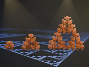 Discovery of the first fractal molecule in nature