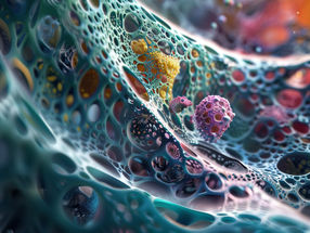 Chemikalien umweltschonend und energiesparend herstellen: Mehr Ausbeute durch Nanoporen