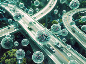 How cells boost gene expression