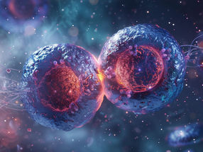Unique characteristics of previously unexplored protein discovered