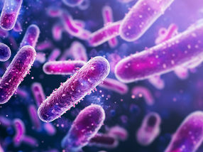 Chemischer Trick aktiviert Antibiotikum direkt am Erreger