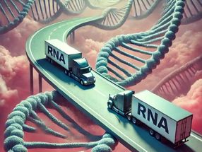 Cooperación de los genes fantasma
