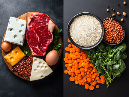 Quasi il 90% degli adulti statunitensi crede erroneamente che sia importante mangiare prodotti animali per assumere una quantità sufficiente di proteine
