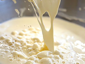 Viele Menschen in den USA kennen die Risiken des Verzehrs von Rohmilch wegen der Vogelgrippe noch nicht