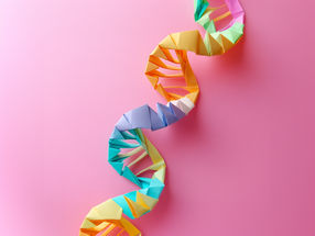 Origami ARN : des cytosquelettes artificiels pour construire des cellules synthétiques