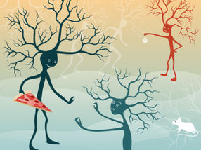 What drives our cravings for food and drink?