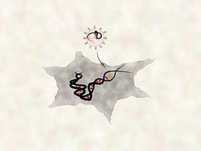 Engenharia de entrega inteligente para editores de genes