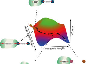 Three golden rules can be inferred to design optimized enzymes for chemical reactions