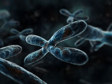 Il cromosoma X silenzioso si risveglia con l'età