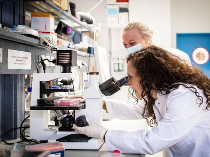 Un virus terapéutico contra el cáncer