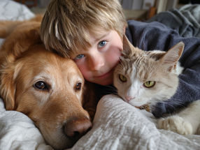 Quand le chien et le chat rendent les enfants malades