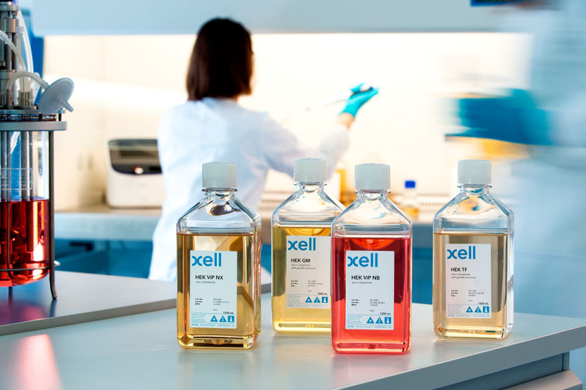 Maßgeschneiderte Lösungen für Gentherapie und Proteinproduktion